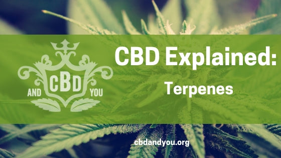 CBD Explained: What are Terpenes?