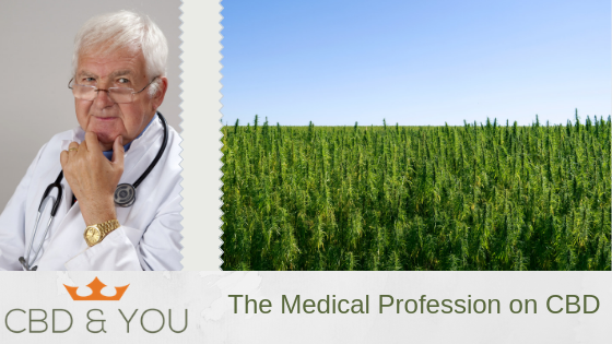 The Medical Profession and CBD